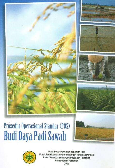 POS Budidaya Padi Sawah